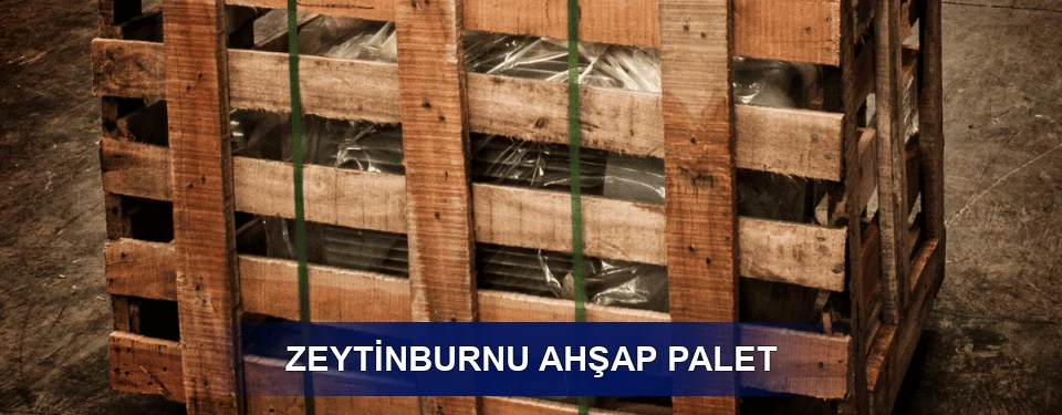 Zeytinburnu Ölçü Seçenekleri