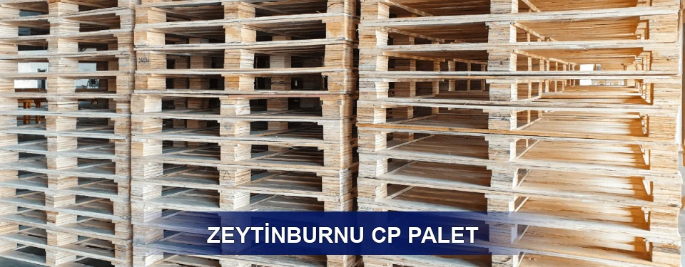 Zeytinburnu Standart Tipler